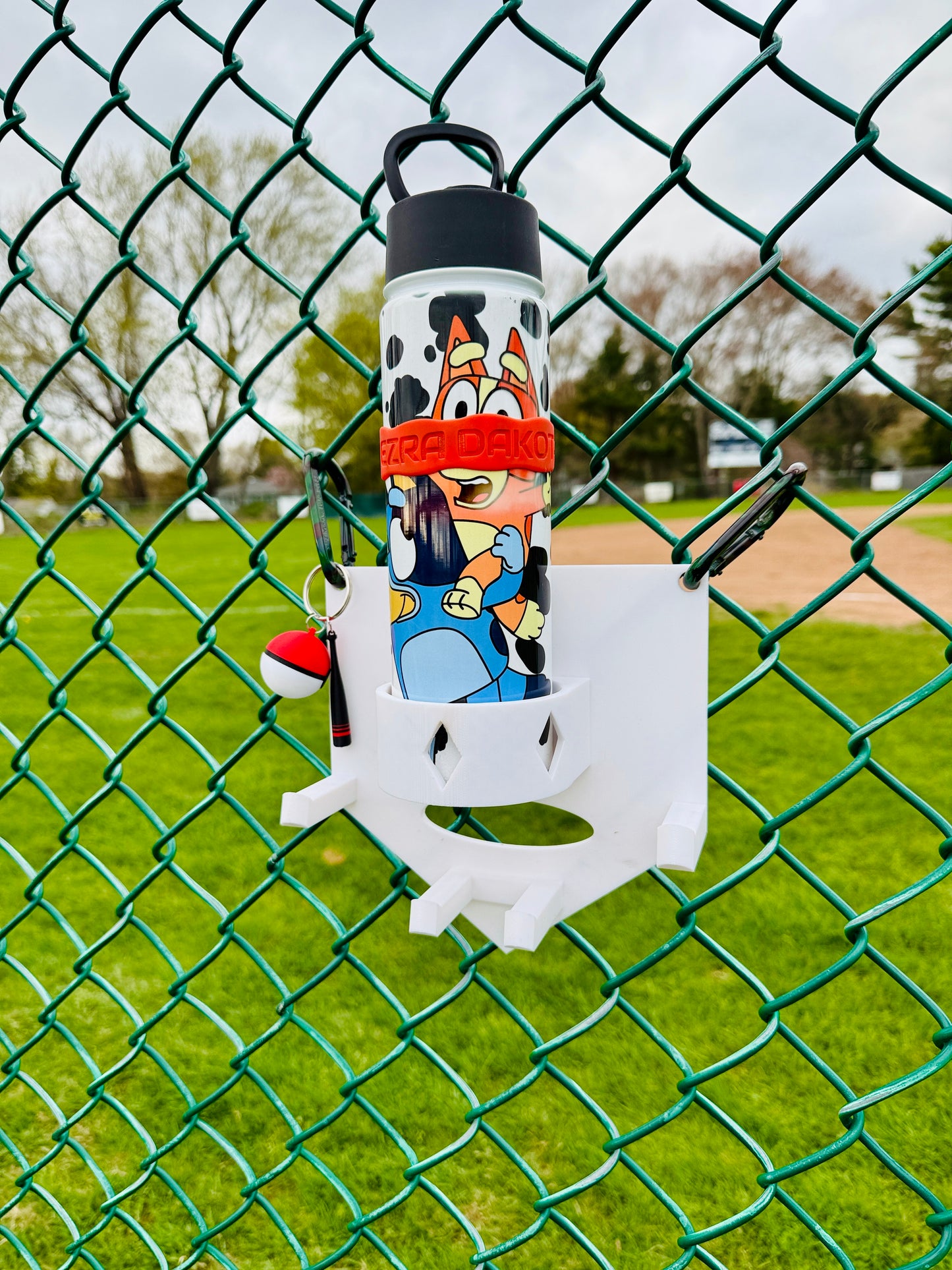Dugout Organizer